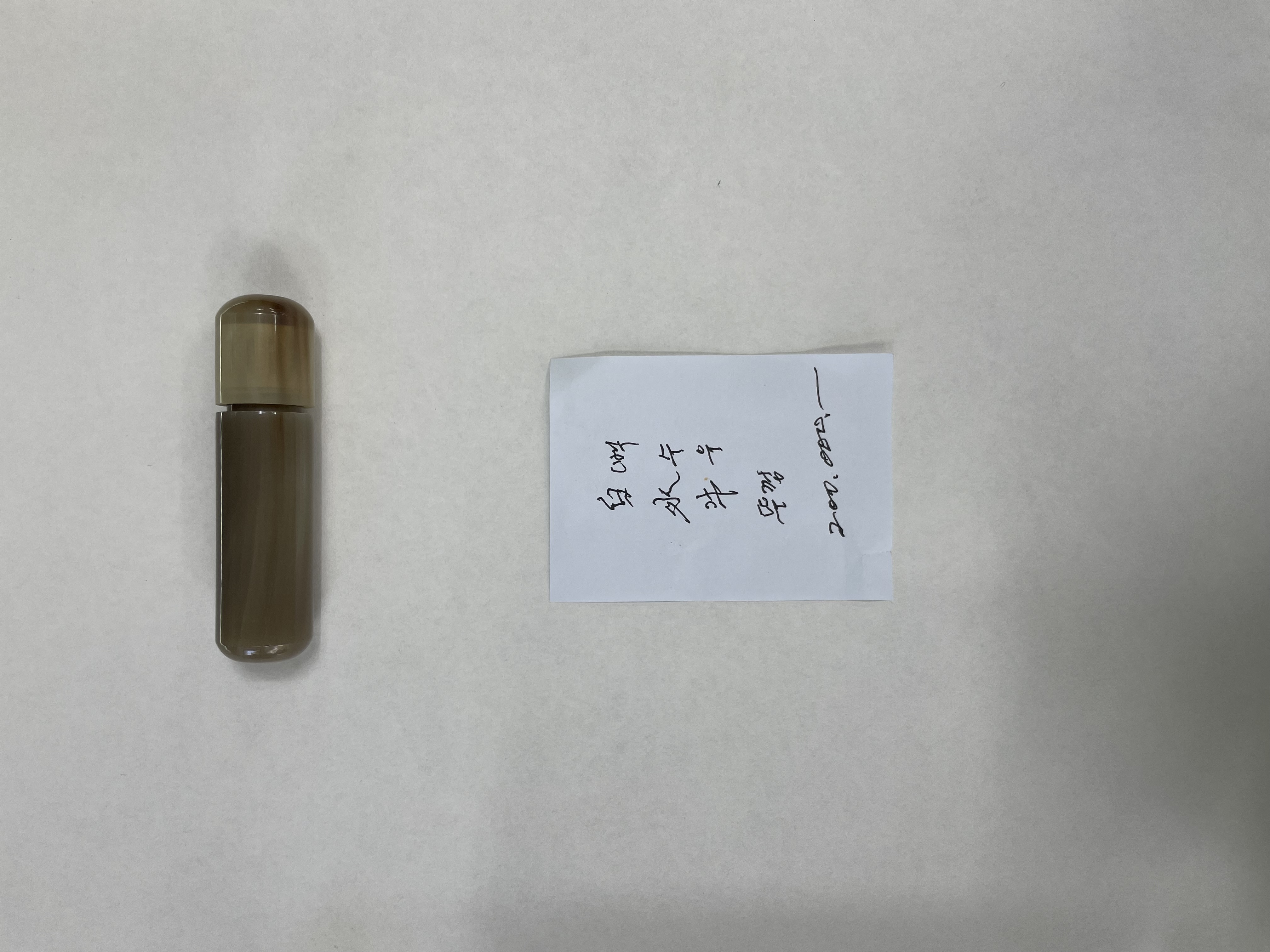 Transparent Water Buffalo Horn